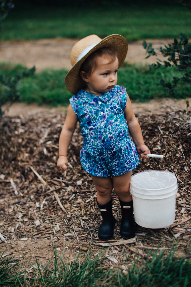 Berry Picking | Cella Jane