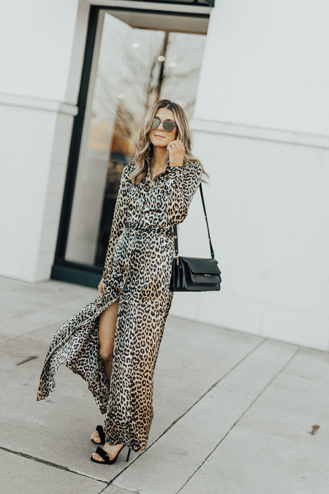 Holiday Look: Leopard Dress - Cella Jane