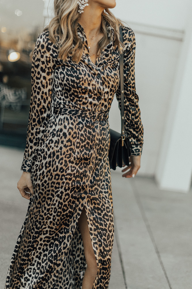 Holiday Look: Leopard Dress - Cella Jane