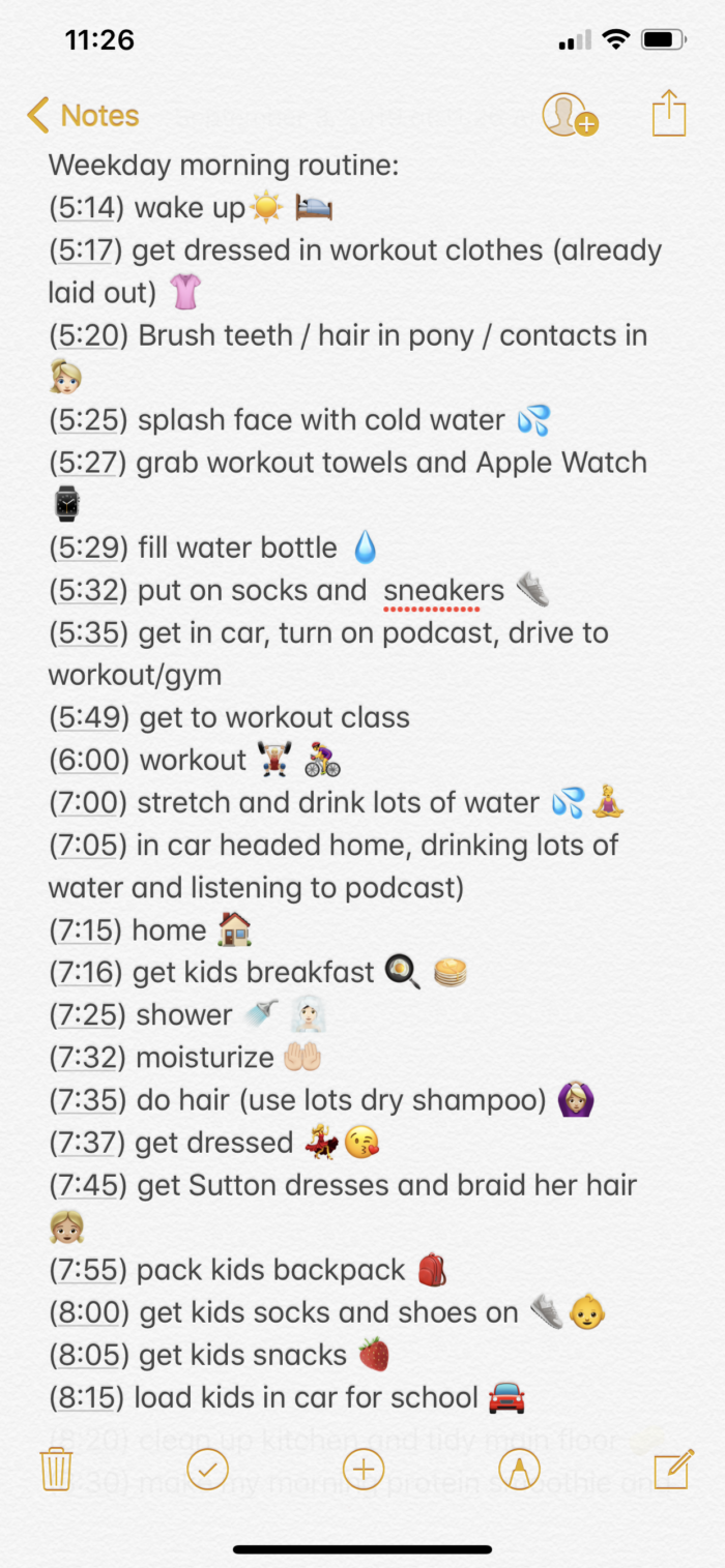 Wellness Wednesday: My Crazy Morning Routine in Detail