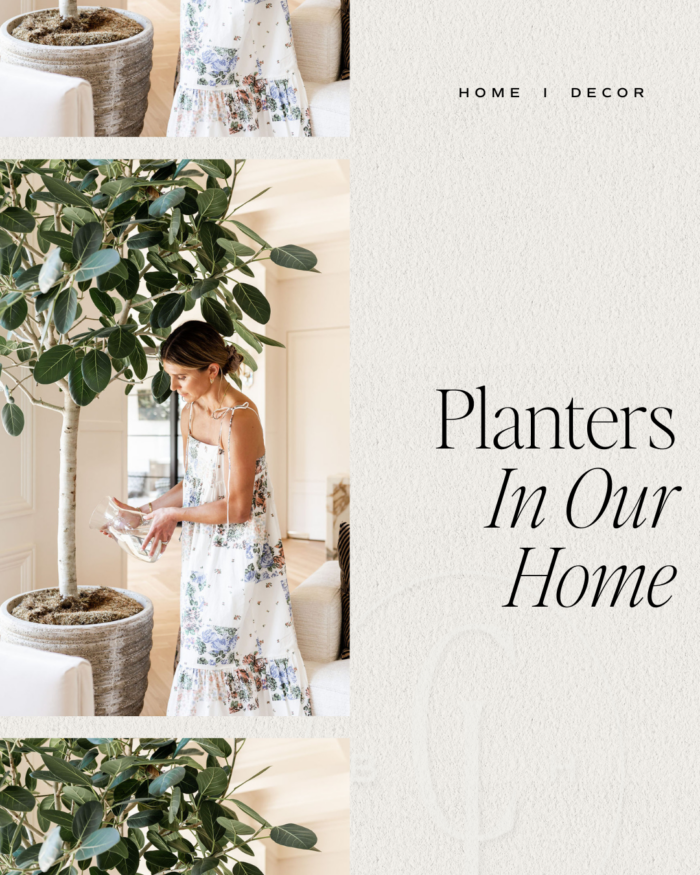 Planters In Our Home